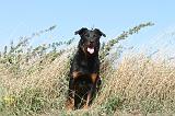 BEAUCERON 138